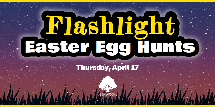 Flashlight Egg Hunt 2025 fb